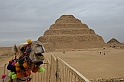 29 MAK_6893
